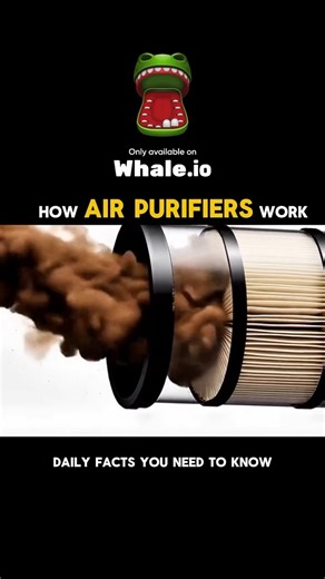 acdoctorlucknow.in | Air purifiers work by cleaning the air around you using a combination of filters and airflow technology. First, a built-in fan pulls in... | Instagram