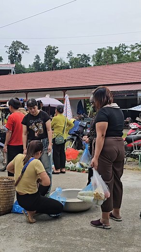 70K views · 919 reactions | Traditional Fishing Techniques - Catching Big Fish with Many Skills, Building Chicken Coops #nguyenthiluyen #singlemother #dailylife | Aziza Smuts | Facebook