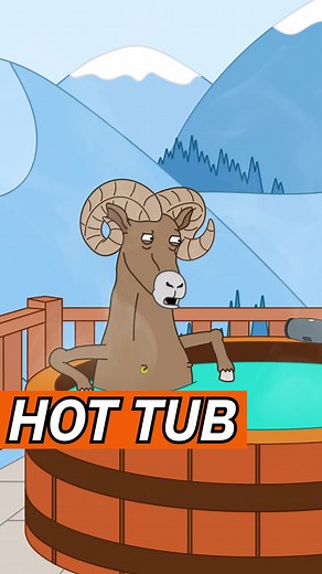 Funny Animals in a Hot Tub Compilation