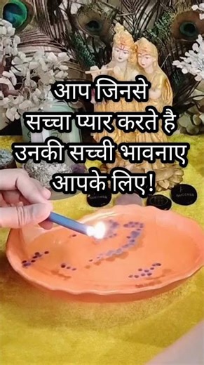 Tarot card reading Hindi #currentfeelings #trendingshorts #love #ytshorts