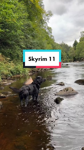 102K views · 13K reactions | Denzel really is the main character in his own story! @thelabraseal #denzelthelabraseal #labraseal #thelabraseal #ringsofpower #lordoftherings #peaceful #relax #calm #quiet #skyrim #skyrimadventures #denzeladventures #explore #outdoors #adventure #quest #forest #nature #watersounds #river #naturalbeauty #life #peace #satisfying #divinity #maincharacter #story #storytelling #roleplay | Denzel The Labraseal | Facebook