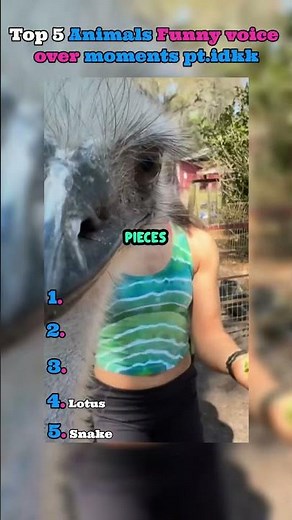 Top 5 animals most funny voice over moments 🤣🤣🤣