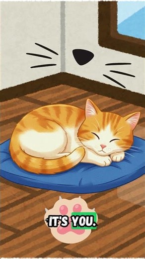 Cats Dream About You