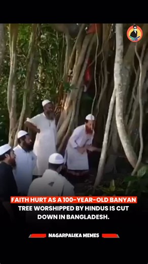Nagarpalika Memes | Manik Thatai on Instagram: "Reports say an 800-year-old banyan tree in Bangladesh was felled for being worshipped by Hindus, raising serious concerns over religious extremism."