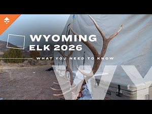 Wyoming nonresident elk application insights about the draw | Watch before you apply