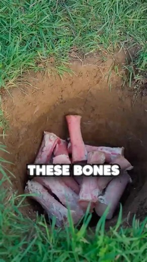 How Bones Are Turned To Art 🤯