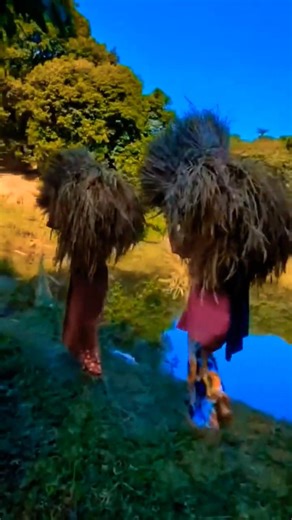 Village Harvest Time in Bangladesh | Beautiful Rural Life! #bangladesh #Hardworking Village Life 🌿