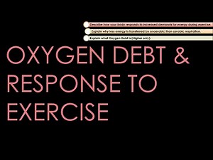 Oxygen Debt & Response to Exercise - GCSE Biology