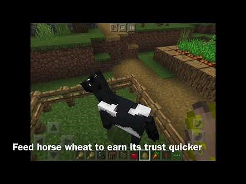 How To Tame and Ride A Horse In Minecraft On Mobile