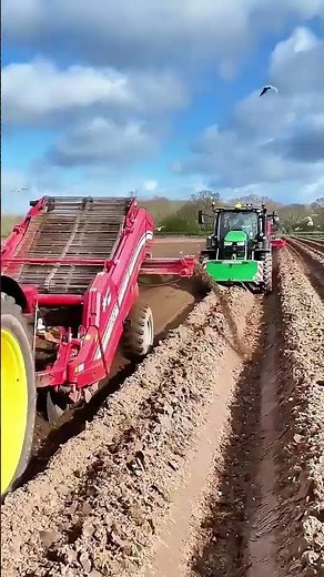 🚜 Cosechadora Gigante en Acción 🌾 #farming #agriculture