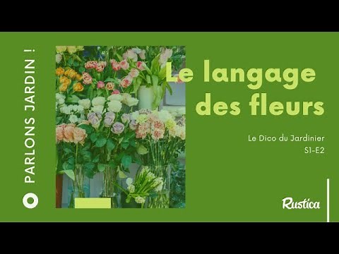 Le langage des fleurs