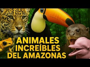 Animales Increíbles del Amazonas: ¡Te Dejarán Sin Palabras!