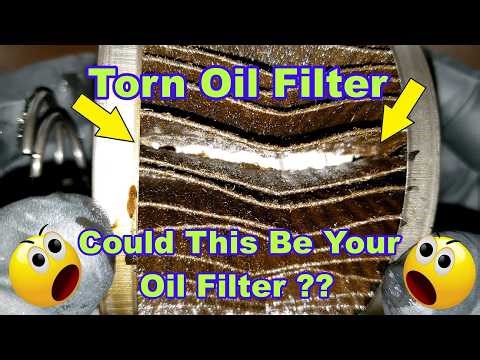 Torn Microgard Oil Filter MGL51372 Cut Open From A Ford Explorer #automobile #diy #mechanic