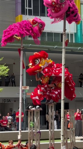 Unleash the Power of the Lion Dance!