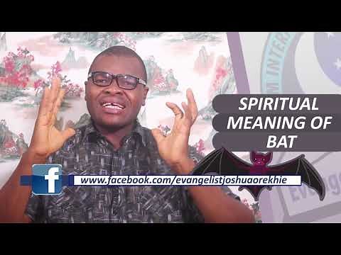 SPIRITUAL MEANING OF BATS - Biblical Meaning Of Bats In Dreams