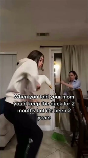 Aflac: Before the duck was RICH #fyp #comedy