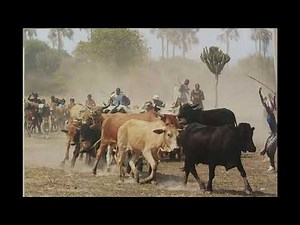 Hakainde Ngali Matongo Okwenu, Tonga music