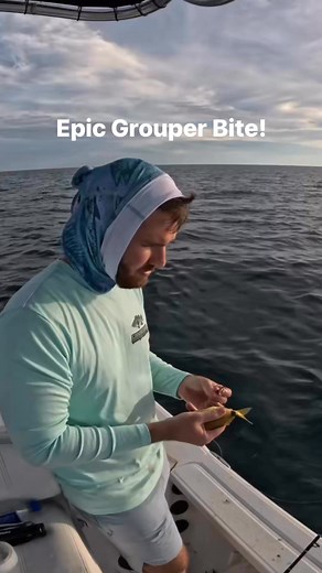 45K views · 423 reactions | Epic Gag Grouper bite out shallow water grouper fishing last week! #gaggrouper #grouperfishing #tampabay #snapper | Groupermvp | Facebook