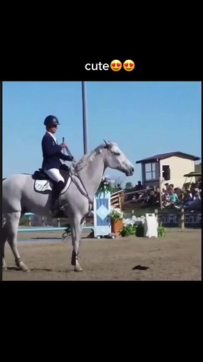 Dressage Competition Highlights with Stunning Horse and Rider