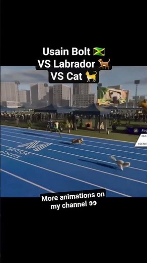 Usain Bolt VS Labrador Dog 🐕 VS House Cat 🐈. 100m Speed Comparison. #topspeed #sprint #comparison