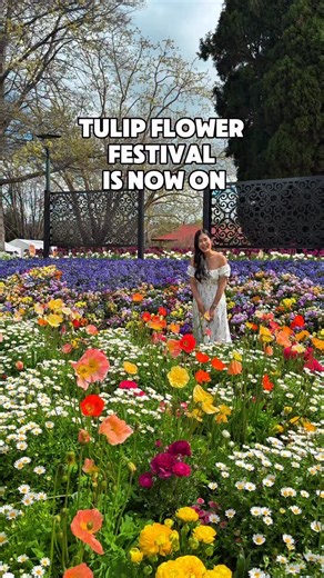 Annie Nguyen on Instagram: "Tulip Time Flower Festival 2025 is now on at Corbett Gardens in Bowral 🌷💐 📍Corbett Gardens, Wingecarribee, Bowral 🗓️ 12 Sep - 6 Oct, 9:30-4:30pm #tuliptimeflowerfestival #tulipfestival #bowral #southernhighlands #southernhighlandsnsw #tulipsaustralia"