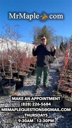 Make an appointment today and visit Bryan | https://mrmaple.com/pages/visit-the-nursery