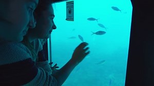 Woman Her Daughter Looking Through Underwater Stock Footage Video (100% Royalty-free) 1099410961 | Shutterstock