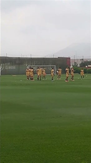 Perú. Universitario. Practicas de la U