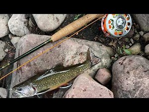 Fly Fishing at Rock Creek, Uinta National Forest