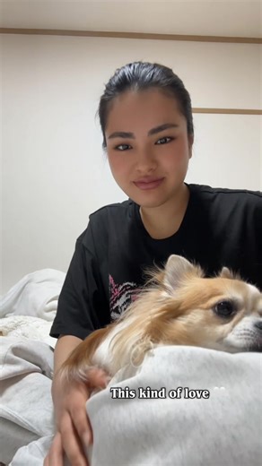 ポウちゃん🤎 #chihuahua #fyp #おすすめ #chihuahuastiktok #chihuahuatok @Risa Kadoshima