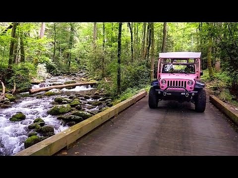 Roaring Fork Smoky Mountains Tour - Pink Jeep Tours