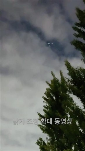 서울 하늘에 UFO 출현 [2026.05.21 PM.21:44] 밝기 조정 영상