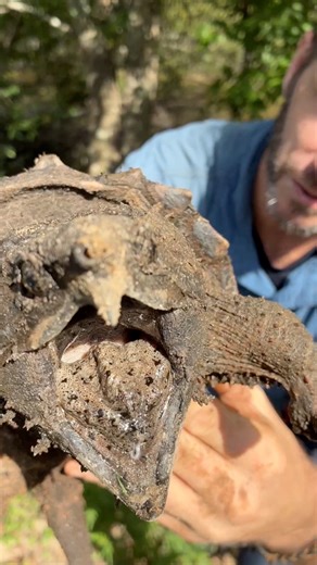 83K views · 2.2K reactions | One of the absolute joys of...