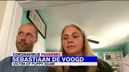 Coronavirus News: Puppy scammers on prowl amid COVID-19 pandemic