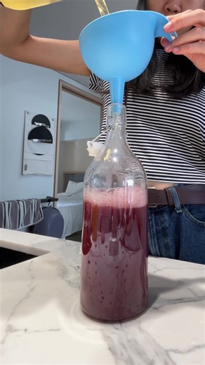 Save Money with Kombucha Brewing at Home