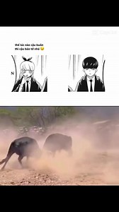🫢 | Anime - Write Your Melody