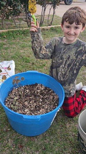 Kid Digs Up Wild Blackberries to Transplant 🌿