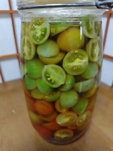 ミニ青トマト🍅ピクルス🍅作ってみたー