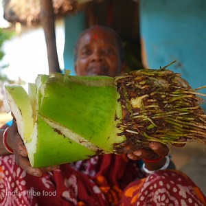 2.5M views · 27K reactions | Giant taro tree root collecting | short video | Indian tribe food | Facebook
