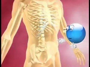 LES CELLULES SANGUINS Il existe 3 types de cellules sanguines, soit les globules rouges, les globules blancs et les plaquettes. Les globules r ouges( érythrocytes) transportent l'oxygène à toutes les cellules du corps. L'oxygène circule sur une protéine appelée hémoglobine. L'hémoglobine rend le sang rouge. | Biologies médicales