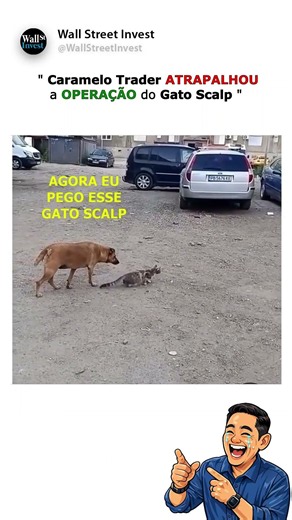 Caramelo Trader ATRAPALHOU a OPERAÇÃO do Gato Scalp