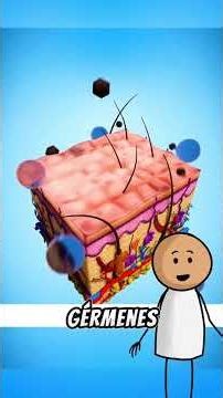 LearnOnTikTok usa educational factsyoudidntknow #Shorts #motivationmedia231