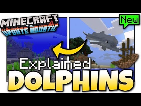 Minecraft - DOLPHIN + TREASURE GUIDE [ Tutorial ] Update Aquatic