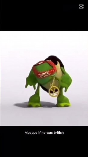 British Rapping Turtle #trending #rapper #edit #viralvideo #british #funny #memes