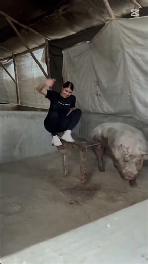 Pig Farming for Beginners | Step-by-Step Full Guide #PigFarming #FarmingTips #Pig