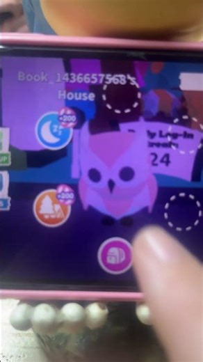 Trading ride snow owl