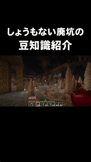 しょうもない廃坑の豆知識紹介#マイクラ #まいくら #minecraft