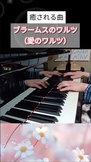 《ピアノ》愛のワルツ／ブラームス（Walzer Op.39-15/Johannes Brahms）vol.299 （ショート110）