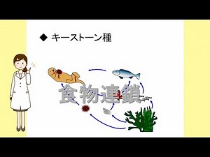 生物基礎28生態系2（多様性と生物間の関係）