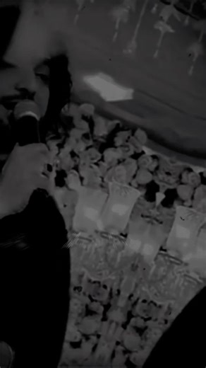 Exploring Zeeshan Rokhri's Creative Journey